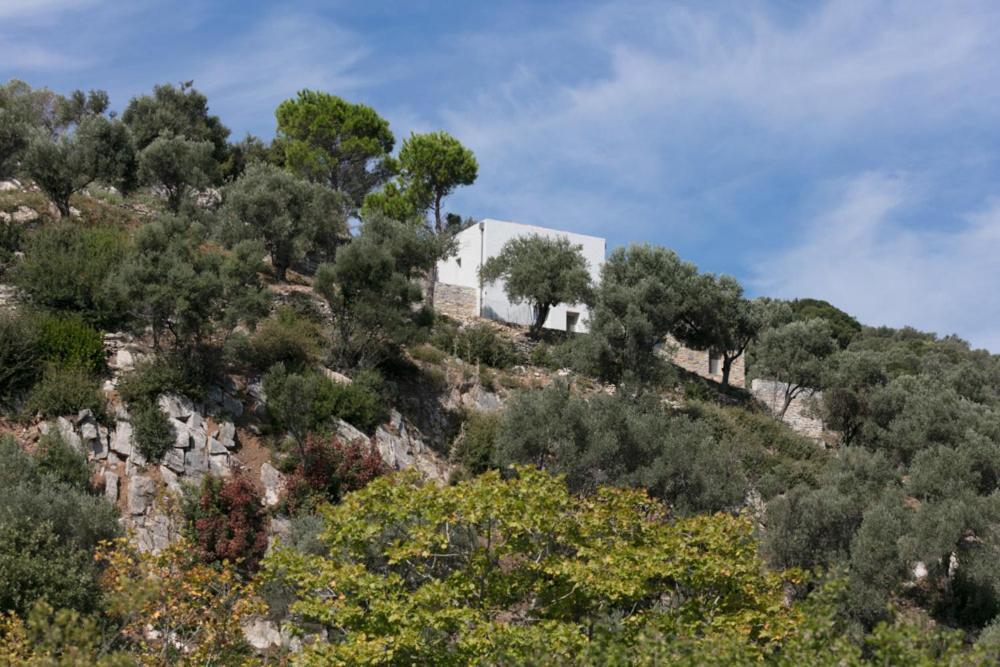 House Λ Villa Moni Evaggelistrias ภายนอก รูปภาพ