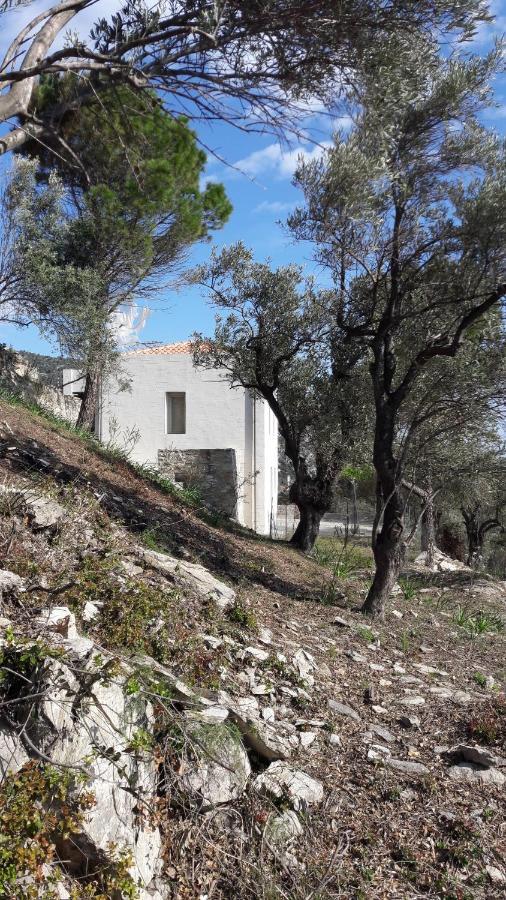 House Λ Villa Moni Evaggelistrias ภายนอก รูปภาพ